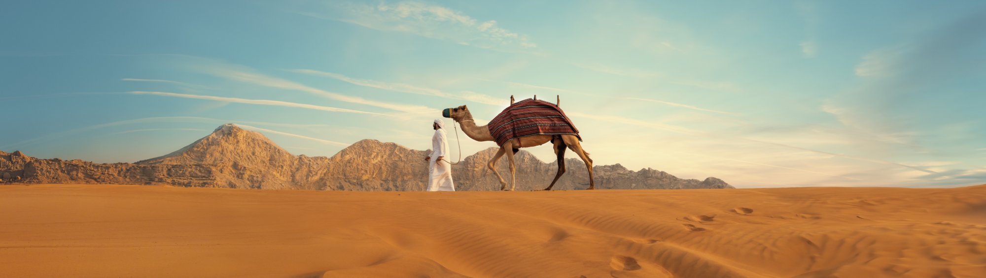 Mleiha National Park, Social Media Campaign directed by Laith Al-Ramahi